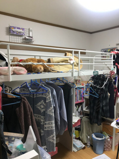 引っ越しの為ロフトベットお譲りします