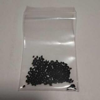 🌼【花の種】🌼   ニゲラ   白色のみの画像