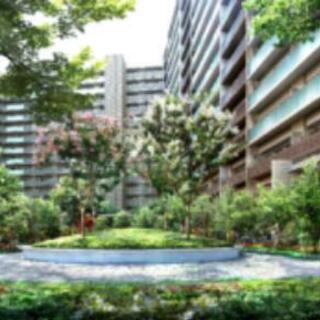 鳶職　足場・鳶工事一式　未経験者・経験者　大歓迎！の画像