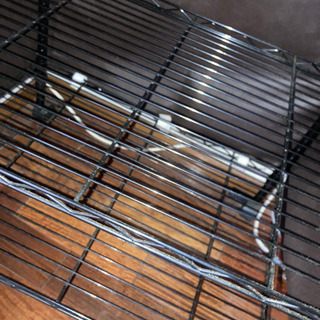 ファッションケース　7/19(AM)までに撮りに来て頂ける方の画像