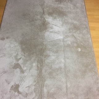 ベージュ カーペット 130‪✕‬185