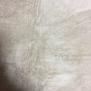 ベージュ カーペット 130‪✕‬185の画像