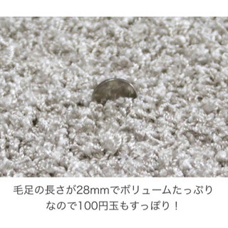 ジャスパー絨毯　楕円型の画像