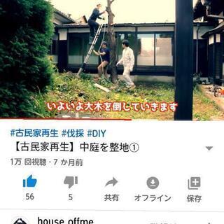 庭木の伐木