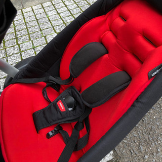 お値下げ！フィルアンドテッズ　Vibe 2人乗りの画像