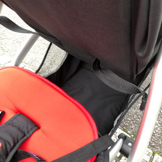 お値下げ！フィルアンドテッズ　Vibe 2人乗りの画像