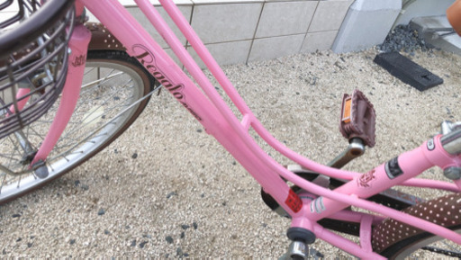 【女の子向け♪】20インチ　自転車　AVIGO  Regalo