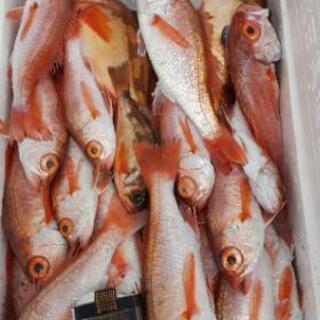 [鮮魚販売]パート・アルバイト募集！時給1000円