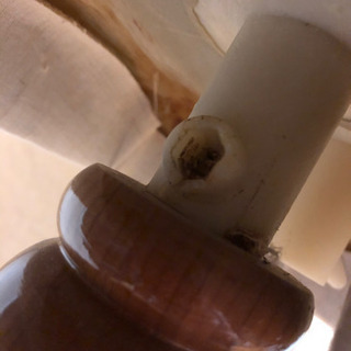 トルソー　全身　7/25までの画像