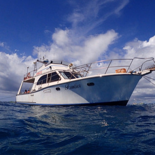 海遊びメンバー募集🤿🛥 - 那覇市