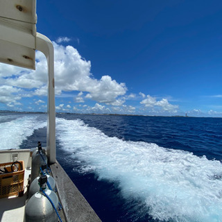 海遊びメンバー募集🤿🛥 - その他