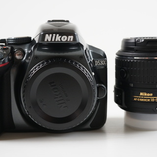 【カメラ】展示美品 ニコン(Nikon) D5300 AF-S/エントリークラスのデジタル一眼レフカメラ