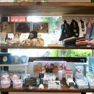 【高円寺】委託販売レンタルボックス出店者様募集中！今だけ3ヶ月無料付！ - その他