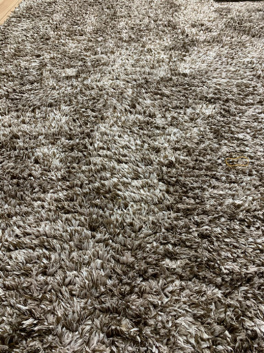 ラグ　カーペット