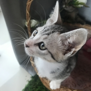 クールな顔立ちのイケメンくん✨だけど性格は甘えん坊😻