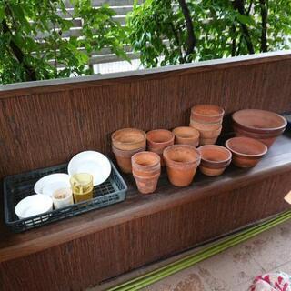 植木鉢各種差し上げますの画像