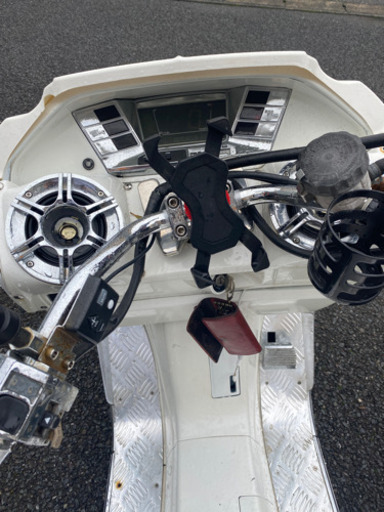 ヒュージョン　カスタム車　