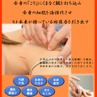 100本鍼　こんな症状でお困りの方必見！｜何をしてもよくならない｜全身の不調｜肩こり｜腰痛｜むくみ｜代謝不良 - ボディケア