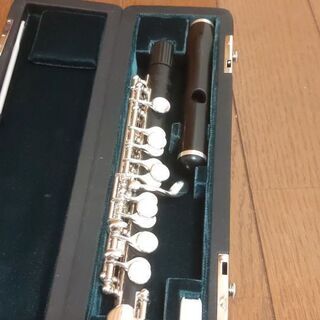 ハンミッヒピッコロ650/2の画像