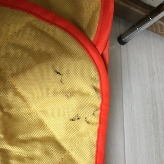 コストコの折りたたみレジャーシートの画像