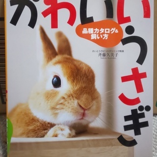 かわいいうさぎ　品種カタログ＆買い方