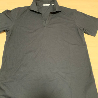 ポロシャツ？の画像