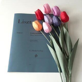 折り紙好きな方と仲良くなりたいです😃