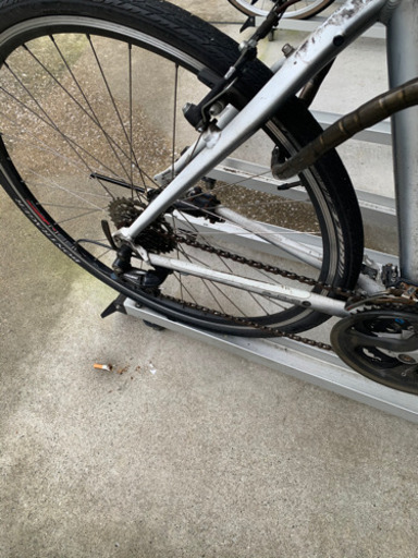クロスバイク　TREK トレック　白