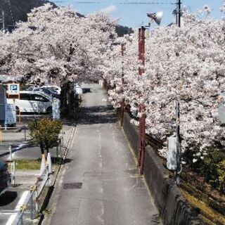 同年代・友だち欲しいです！