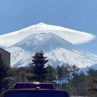 一緒にドラクエウォークまたは散歩