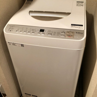 SHARP】タテ型洗濯乾燥機！