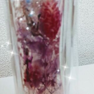 ｷﾗｷﾗ✨ﾊｰﾊﾞﾘｳﾑ🎀
