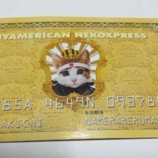 ニャメリカンネコスプレス　なめ猫の画像