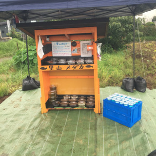 公園前の里山めだか メダカ無人販売所
