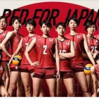 中学バレーボールメンバー募集 - スポーツ