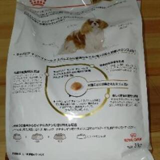 キャバリア用フードの画像