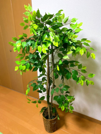 【値下げしました】フェイクグリーン 人工観葉植物