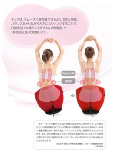 激安！定価10万円　値下げ　9800円⇒6500円　THRIVE エアリズム  FD-020(R)　骨盤矯正