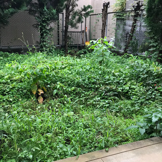 草刈り·草取りの道具とかを貸して下さい