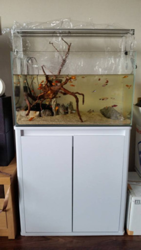 60センチ水槽、台、フィルター、ライト、本セット