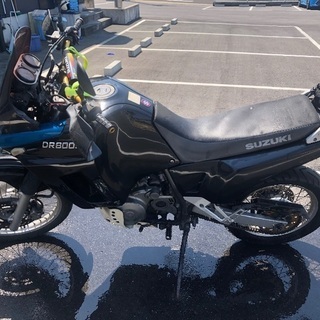 DR800sの画像