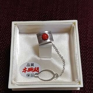 商談中　本珊瑚　タイピン