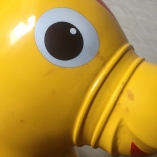 ロディの画像