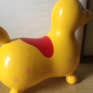 ロディの画像