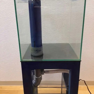 ガラスオーバーフロー水槽セットの画像