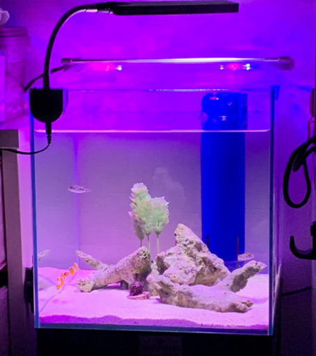 ガラスオーバーフロー水槽セット