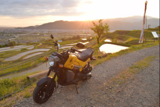 NAVi110 HONDA 黄色