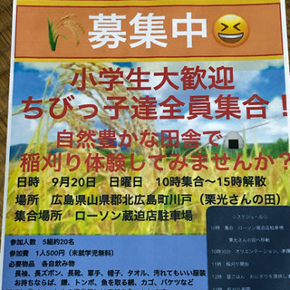 受付終了9/20 稲刈り体験　募集しまーす😆