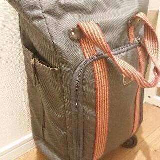 【近隣配送可能】ショッピングカート スワニー