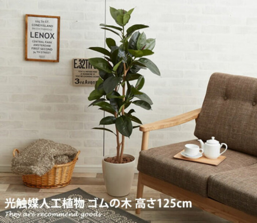 観葉植物 大型 フェイクグリーン